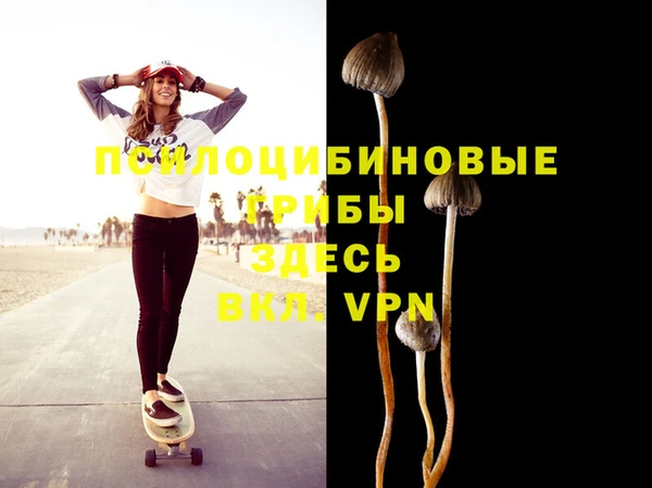 не бодяженный Балахна