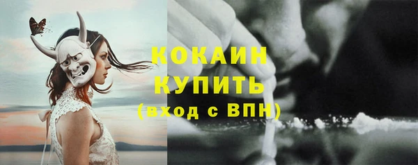соль ск Балабаново