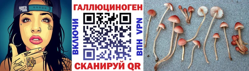 Галлюциногенные грибы мицелий  Высоцк 